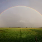 Svetovy deň životného prostredia